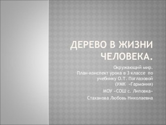 Презентация Дерево в жизни человека презентация к уроку по окружающему миру (3 класс)