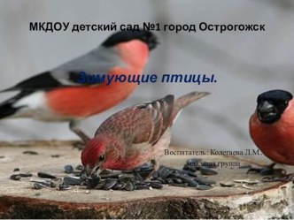 Зимующие птицы. презентация к уроку (младшая группа)