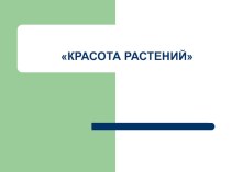 Презентация Красота растений в разное время года презентация к уроку по окружающему миру (средняя группа) по теме