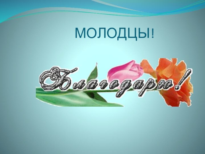 МОЛОДЦЫ!