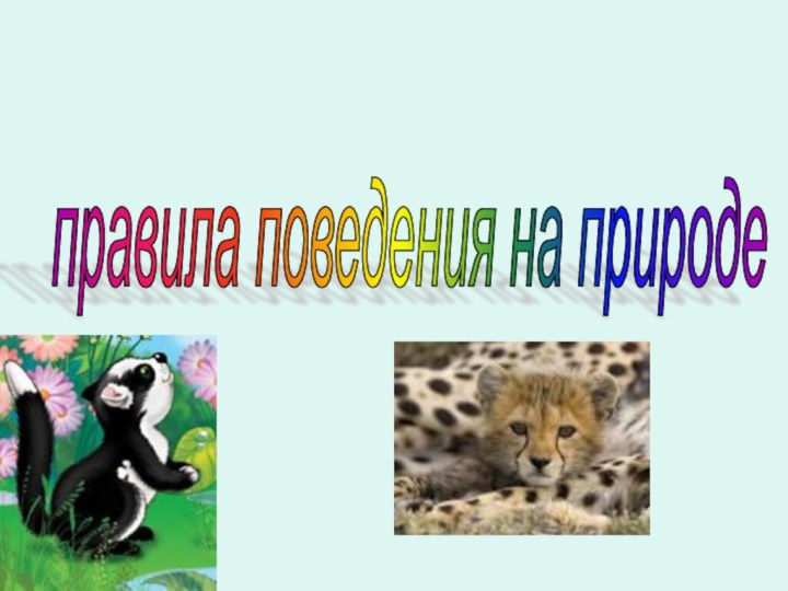 правила поведения на природе