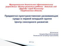 Предметно-пространственная развивающая среда в первой младшей группе презентация