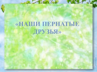 Удивительный мир птиц презентация урока для интерактивной доски по окружающему миру (старшая группа)