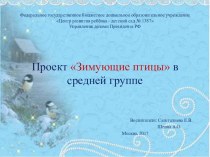 Проект Зимующие птицы. презентация