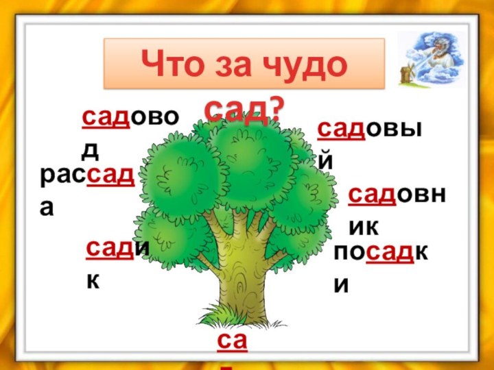 садсадикрассадасадоводсадовыйсадовникпосадкиЧто за чудо сад?