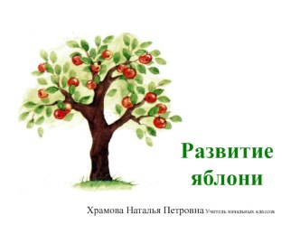 Презентация Развитие яблони презентация к уроку по окружающему миру (1 класс)