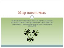 План-конспект непосредственно образовательной деятельности в старшей группе тема: Мир насекомых план-конспект занятия по окружающему миру (старшая группа)