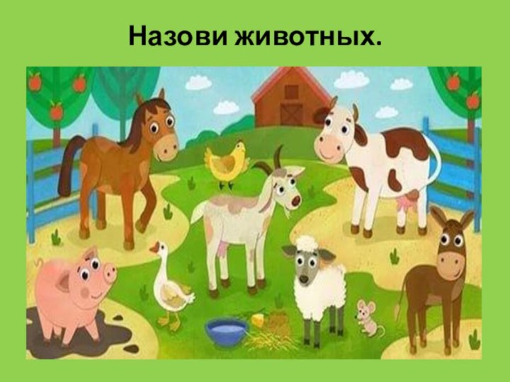 Назови животных.