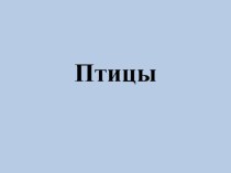 Конспект занятия в 1 классе  Птицы зимующие и перелетные план-конспект занятия (1 класс)