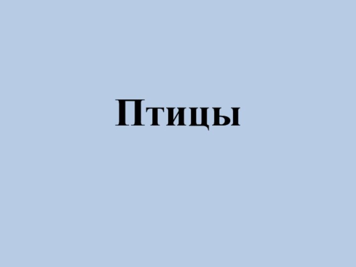 Птицы