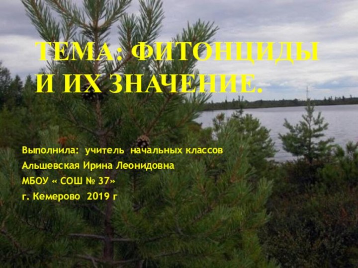 Выполнила: учитель начальных классовАльшевская Ирина ЛеонидовнаМБОУ « СОШ № 37»г. Кемерово 2019