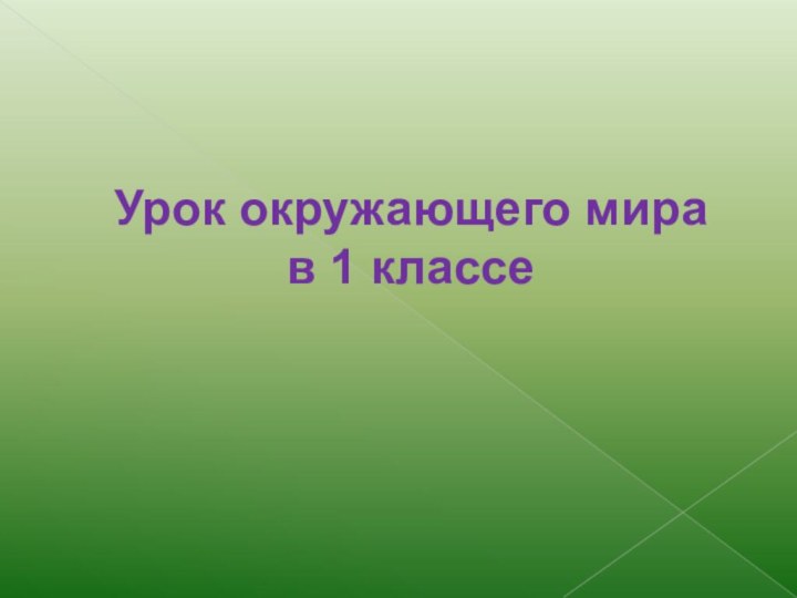 Урок окружающего мира в 1 классе