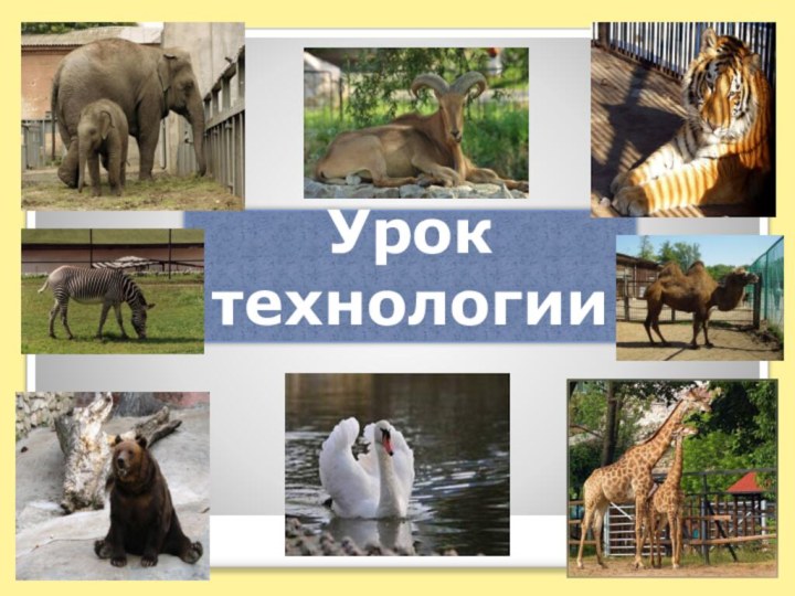 Урок технологии