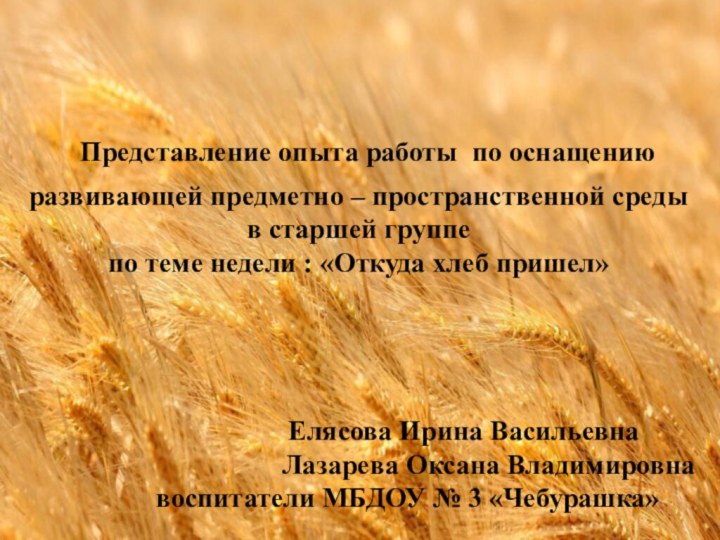 Представление опыта работы по оснащению развивающей предметно – пространственной среды в