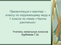 Презентация к мастер - классу по окружающему миру в 1 классе по теме Части растений презентация к уроку по окружающему миру (1 класс) по теме