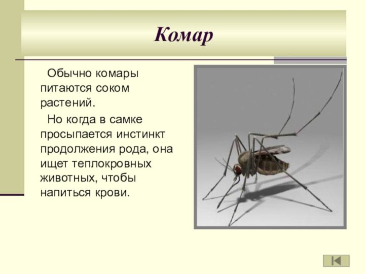 Комар Обычно комары питаются соком растений.Но когда в самке просыпается инстинкт продолжения
