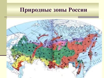 Природные зоны. Зона лесов методическая разработка по окружающему миру (4 класс)