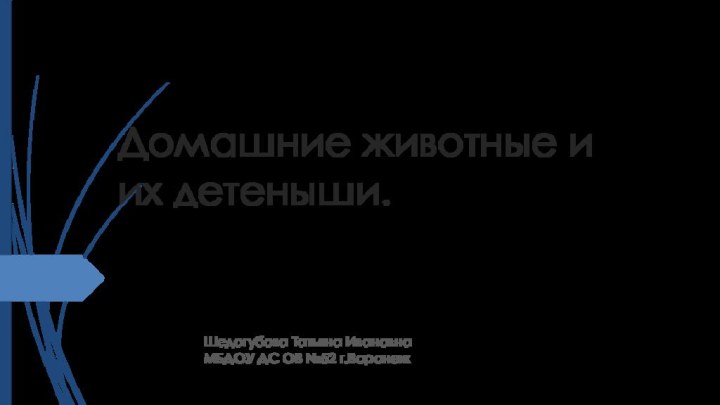 Домашние животные и их детеныши.Шедогубова Татьяна ИвановнаМБДОУ ДС ОВ №52 г.Воронеж