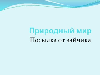 Непосредственно образовательная деятельность с использованием ИКТ Посылка от зайчика природный мир в первой младшей группе презентация к уроку по окружающему миру по теме