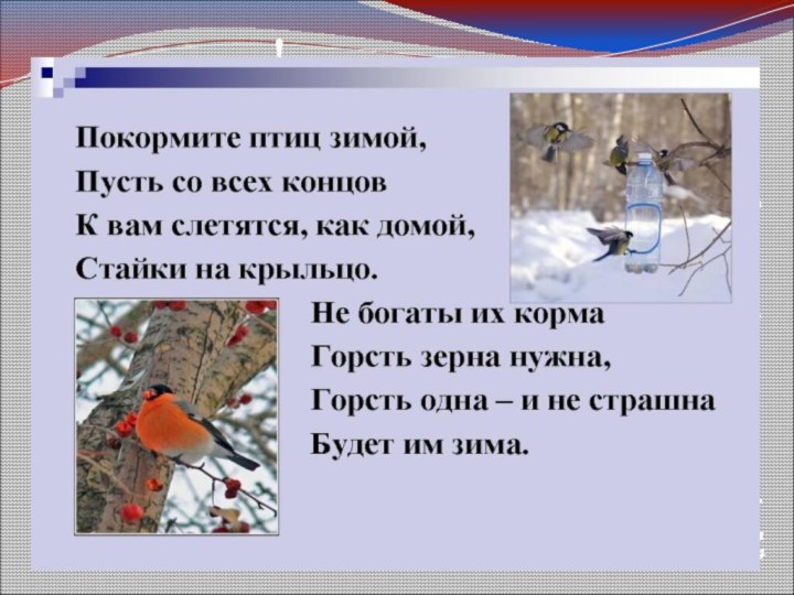 Покормите птиц зимой.Пусть со всех концовК вам слетятся, как домой,Стайки на крыльцо.Не