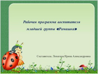 Рабочая программа воспитателя младшей группы Ромашка презинтация презентация к уроку (младшая группа)