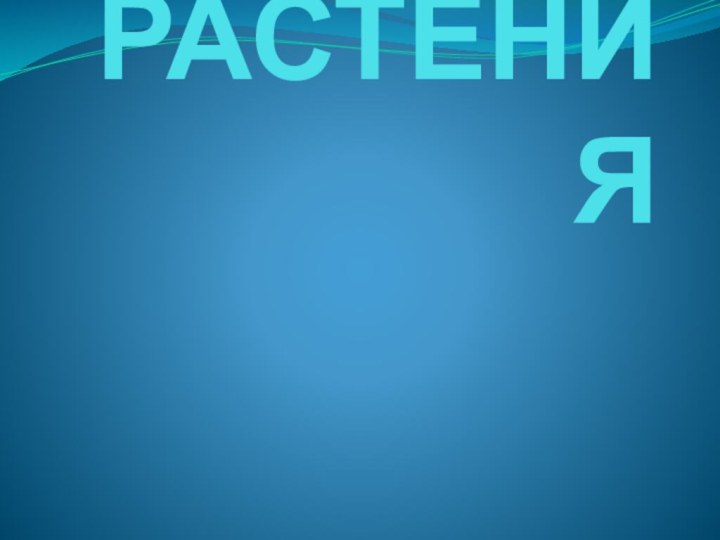 РАСТЕНИЯ