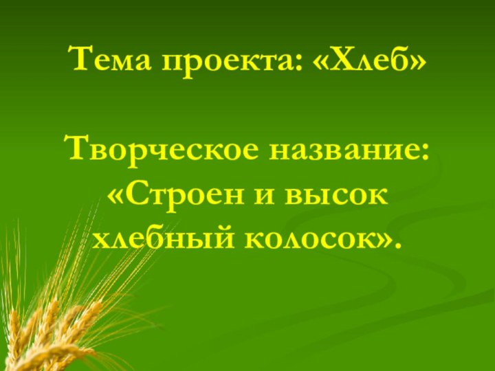 Тема проекта: «Хлеб»  Творческое название:  «Строен и высок хлебный колосок».