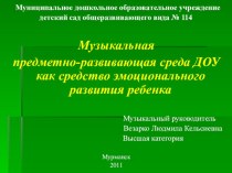 Презентация Музыкальная предметно-развивающая среда как средство эмоционального развития ребенка презентация по теме