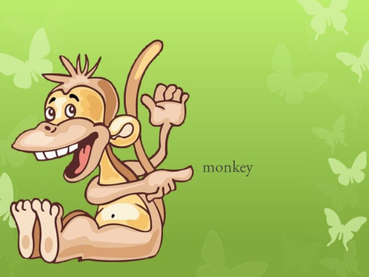 monkey