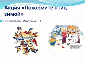Акция Покормите птиц зимой презентация к уроку (средняя группа)