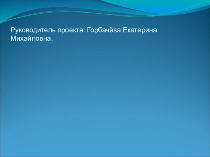 Руководитель проекта: Горбачёва Екатерина Михайловна.