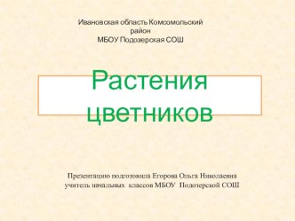 Растения цветников. презентация к уроку (1 класс)