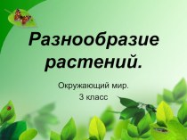 Разнообразие растений. 3 класс. Презентация. презентация к уроку по окружающему миру (3 класс)