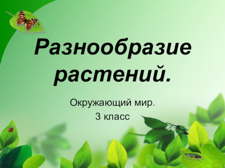 Разнообразие растений.Окружающий мир. 3 класс