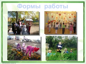 Формы экологической работы с детьми -фото презентация