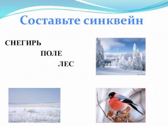 Презентация к уроку русского языка в 4 классе Склонение прилагательных мужского и среднего рода презентация к уроку по русскому языку (4 класс)