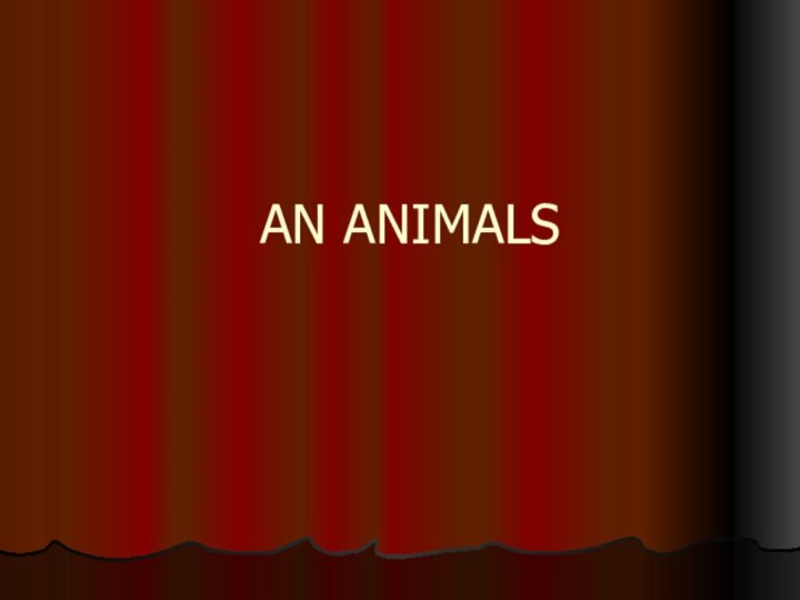 AN ANIMALS