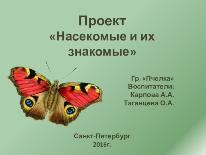 Проект «Насекомые и их знакомые»Гр. «Пчелка»Воспитатели: Карпова А.А.   Таганцева О.А.Санкт-Петербург2016г.