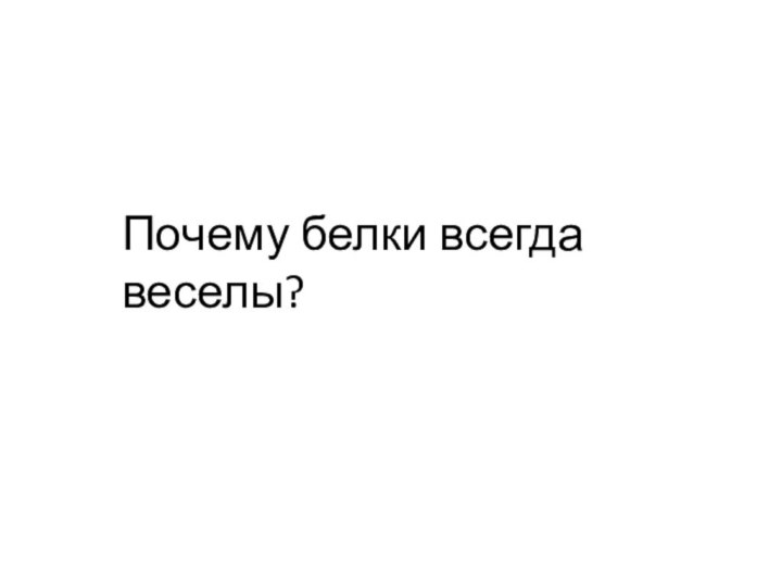 Почему белки всегда веселы?