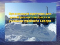 Организация прогулок для детей раннего возраста в условиях Крайнего Севера презентация к уроку (младшая группа)