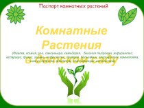 Презентация презентация к уроку по окружающему миру (средняя группа)