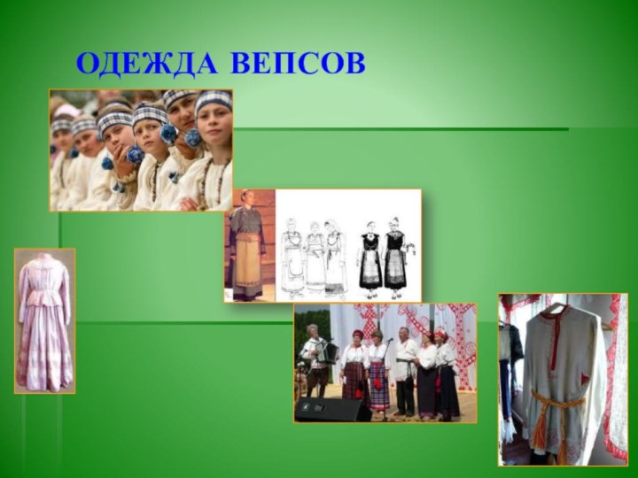 ОДЕЖДА ВЕПСОВ