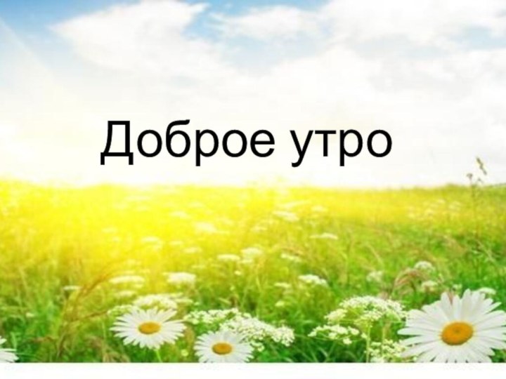 Доброе утро