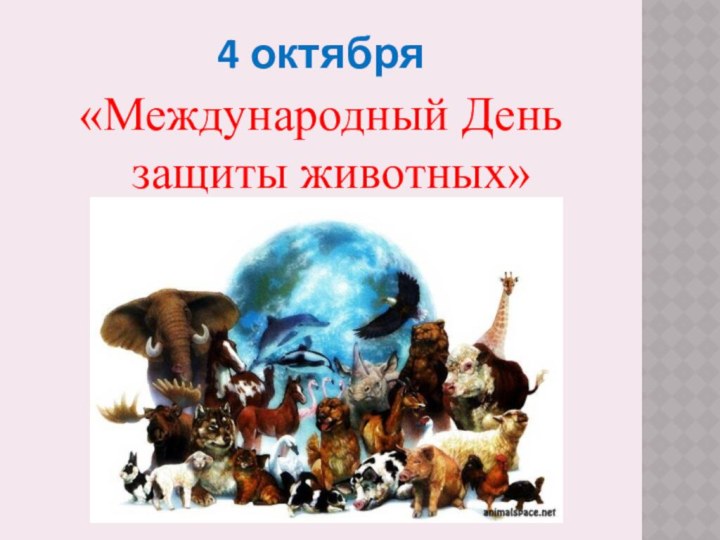 4 октября «Международный День защиты животных»