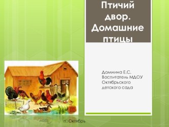 Презентация Птичий двор. Домашние птицы. презентация по развитию речи