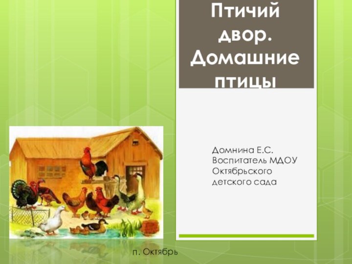 Птичий двор. Домашние птицыДомнина Е.С. Воспитатель МДОУ Октябрьского детского садап. Октябрь