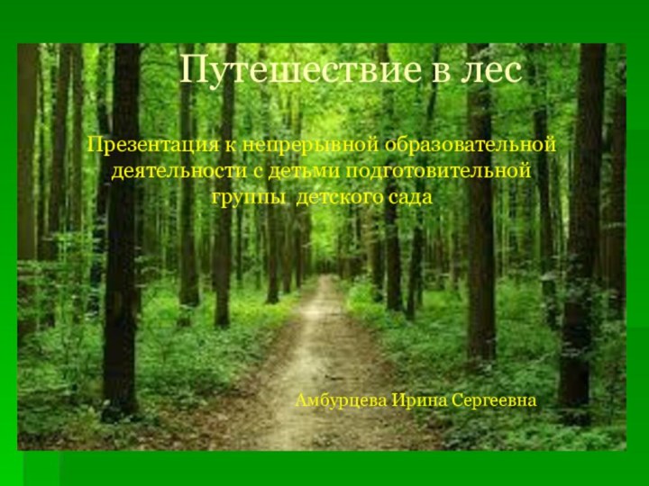 Путешествие в лесПрезентация к непрерывной образовательной деятельности с детьми подготовительной группы детского садаАмбурцева Ирина Сергеевна