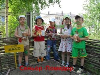 Проектная работа Синьор Помидор материал (подготовительная группа) по теме Помидор и Лимон (маленькая сказка)