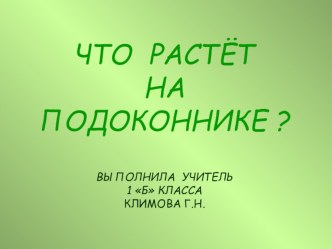 Конспект урока Что растет на подоконнике план-конспект урока по окружающему миру (1 класс)