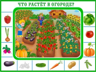 Что растет в огороде? презентация к уроку по окружающему миру (средняя группа) по теме